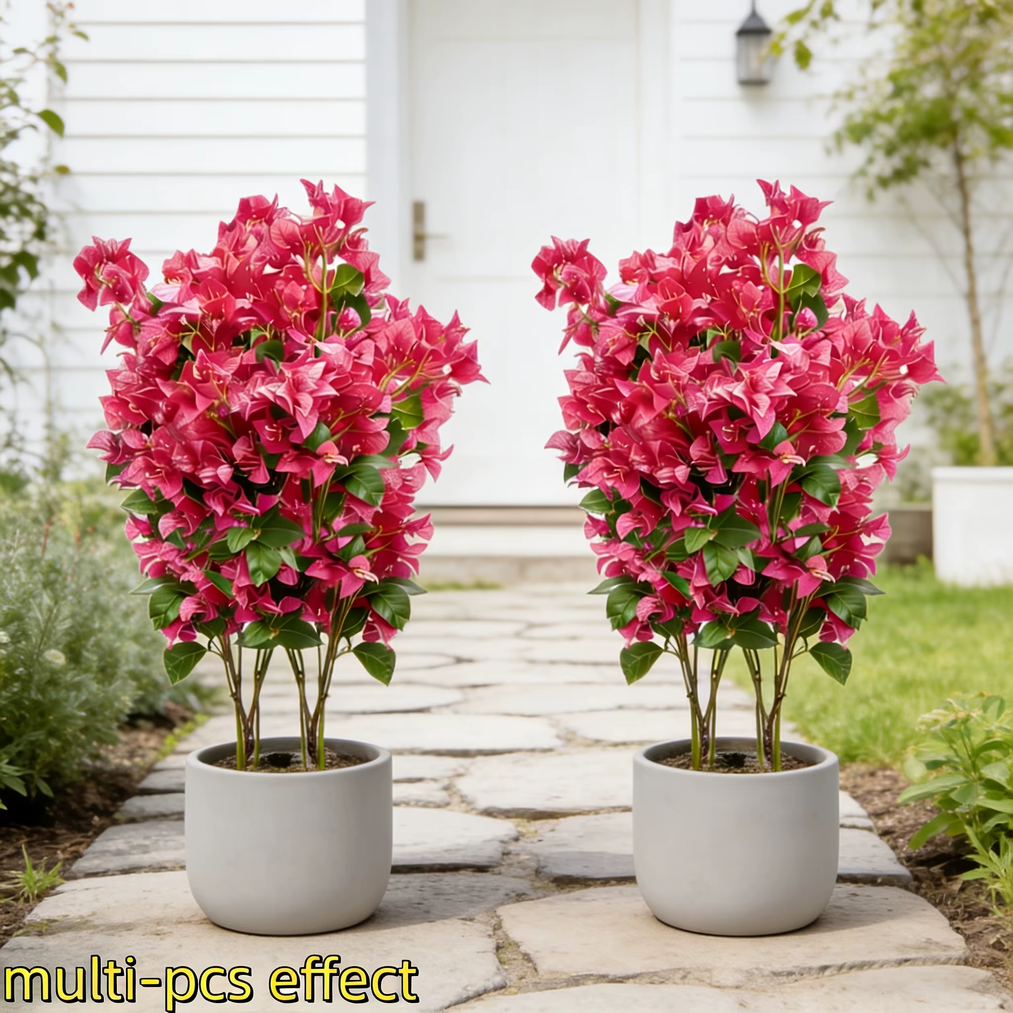 3/12 pièces, 1 pièce = 24 fleurs