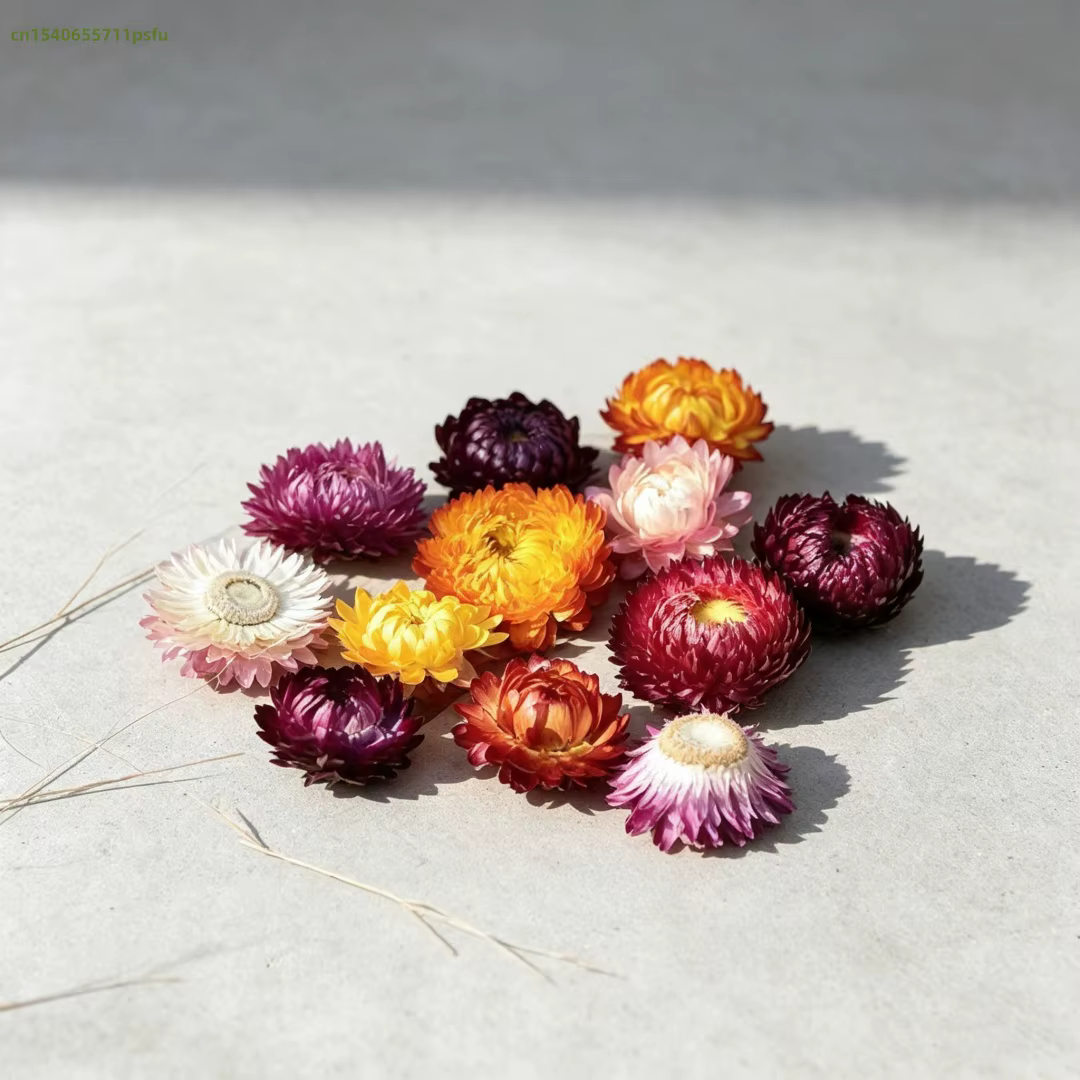 Fleurs Artificielles Décoratives Tournesol Marguerite Hélichrème Bracteatum pour Décoration de Vase à la Maison, Mariage, Fête, Matière Première pour Artisanat DIY