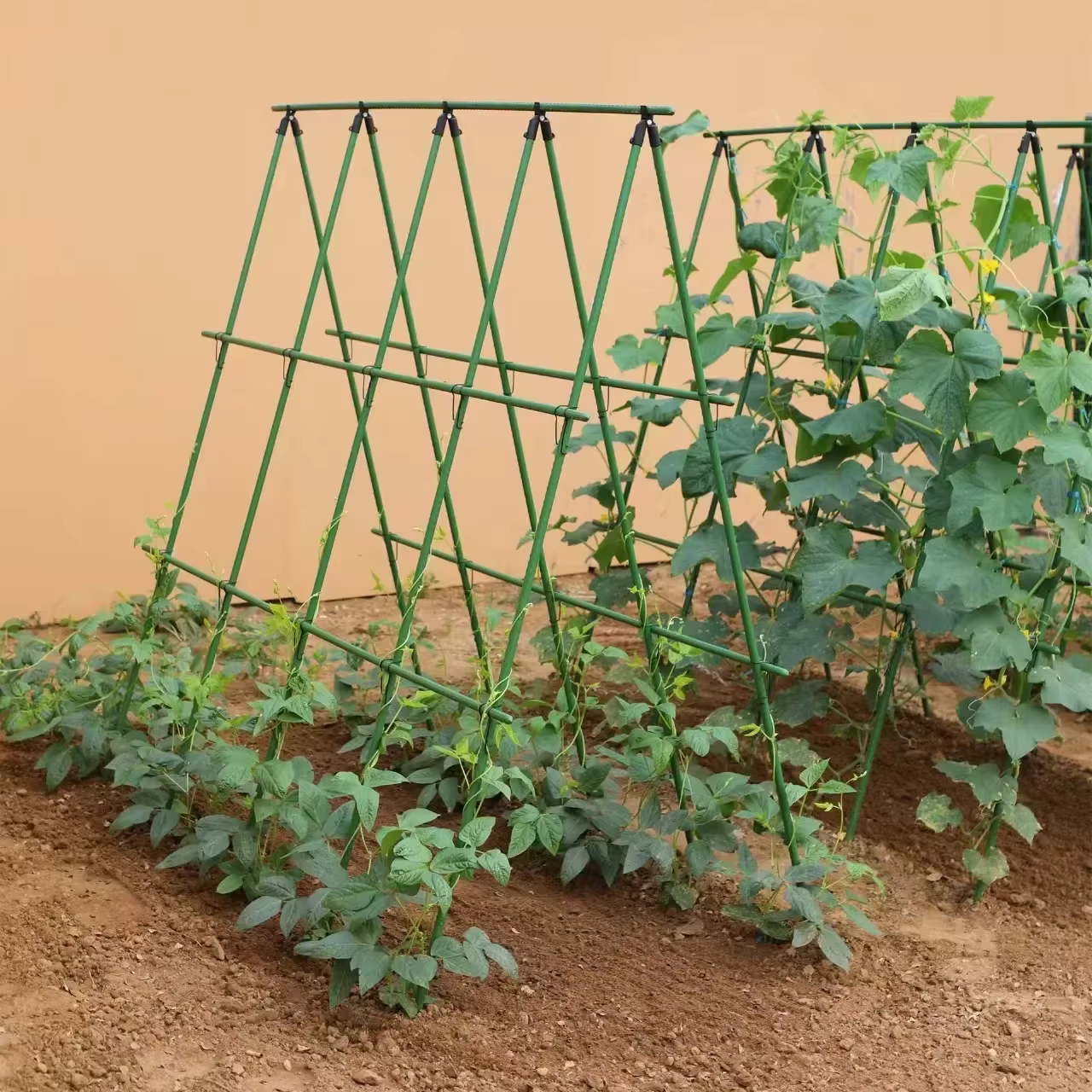 Nouveau 2026 Treillis de support robuste pour plantes grimpantes