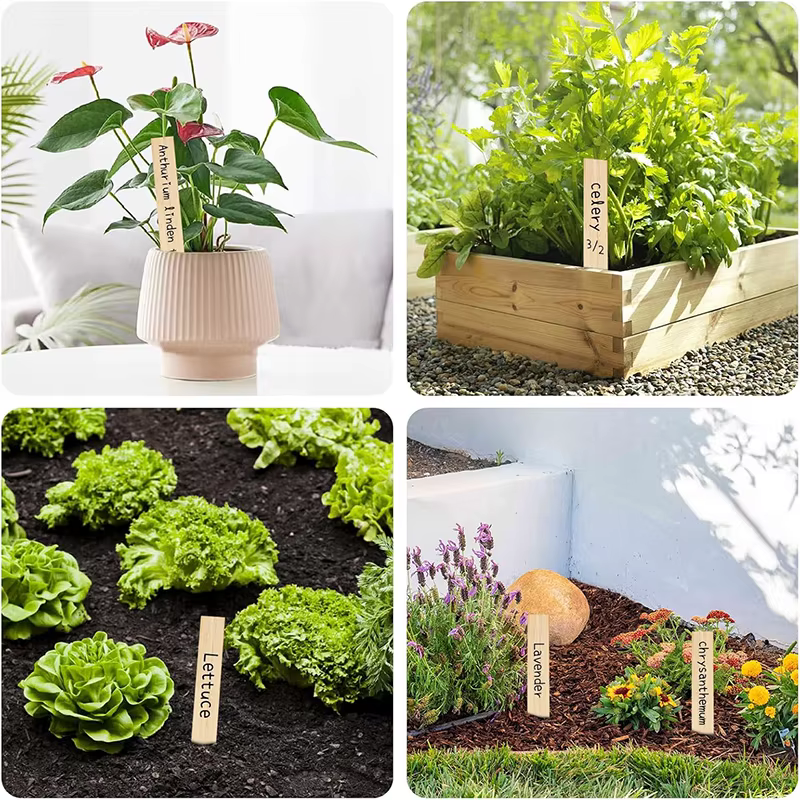 Étiquettes de plantes en bambou