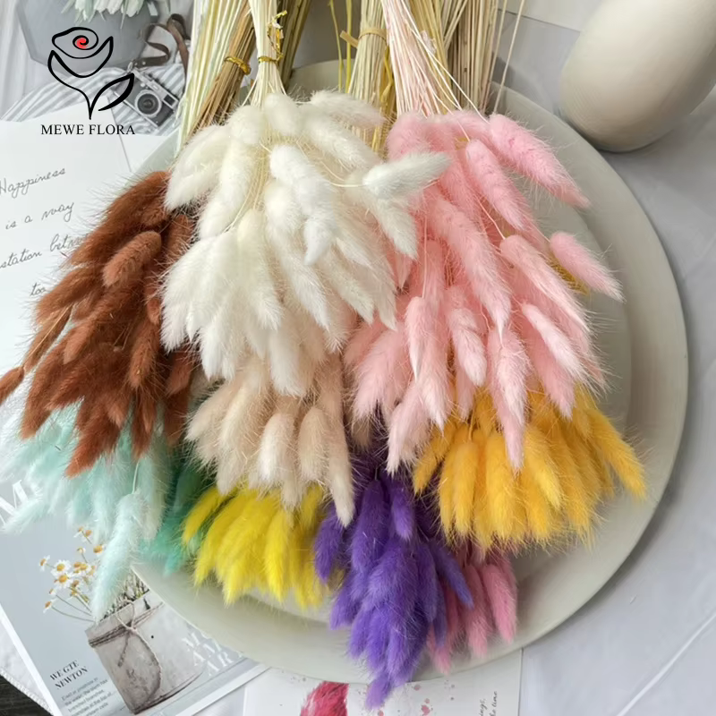 Queue de lapin naturelle moelleuse pour la décoration de la maison