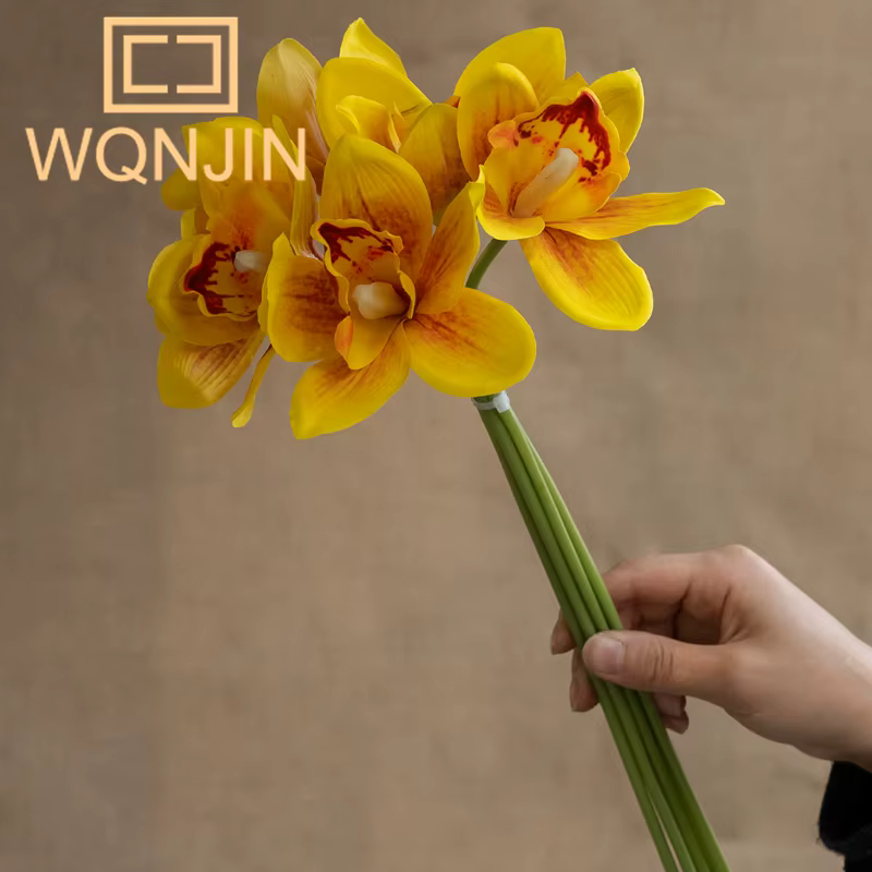 Nouveaux vases d'orchidées papillon d'automne
