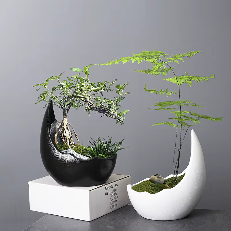 Pot de fleur en céramique en forme de corne de rhinocéros