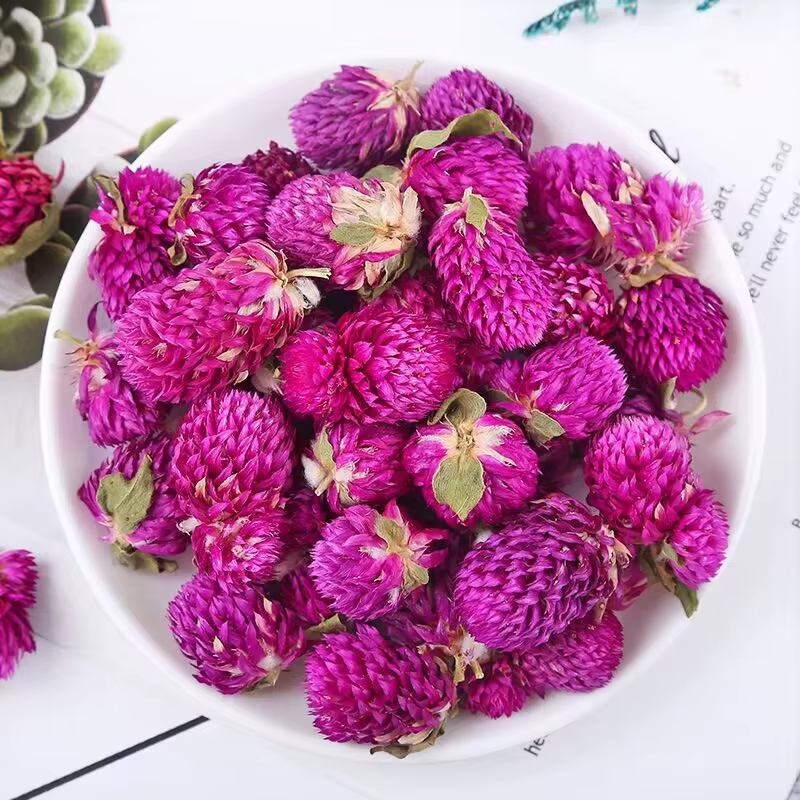 Fleurs d'amarante globe séchées naturelles de qualité supérieure pour la décoration de la maison et du jardin