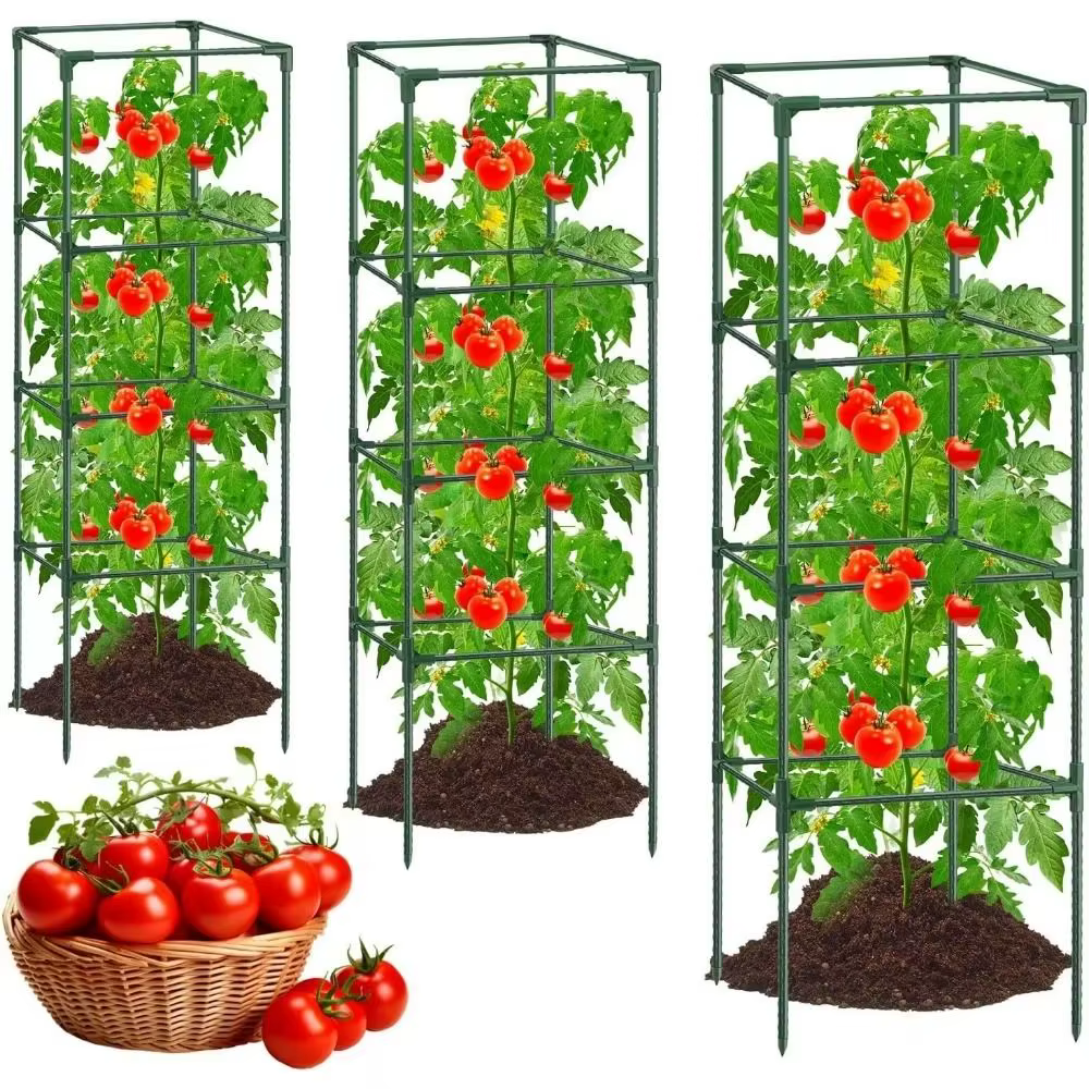Treillis de plantes grimpantes durable