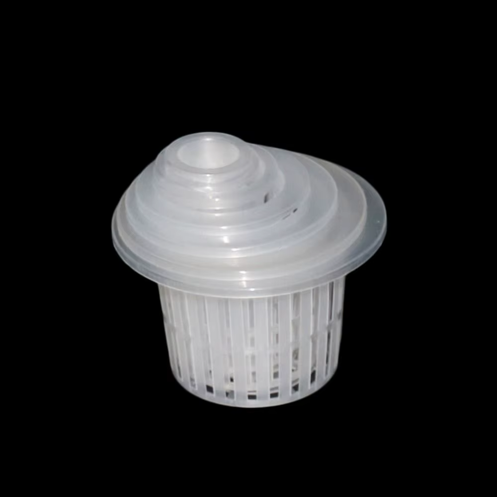 Pot en maille de colonisation hydroponique
