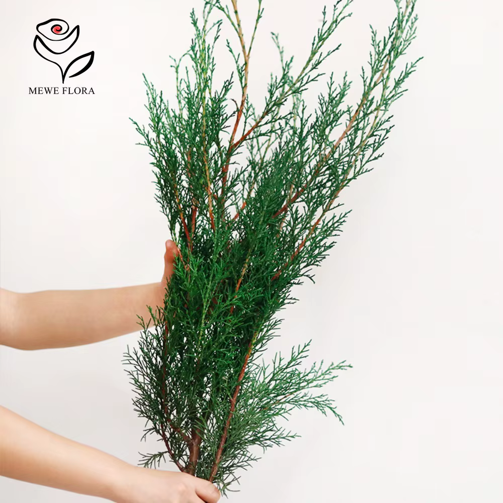 Fleurs Éternelles vaccées pour Arbre de Noël