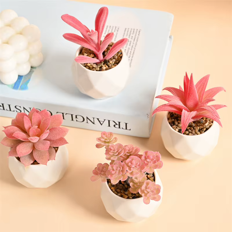 Ensemble de Mini plantes succulentes artificielles