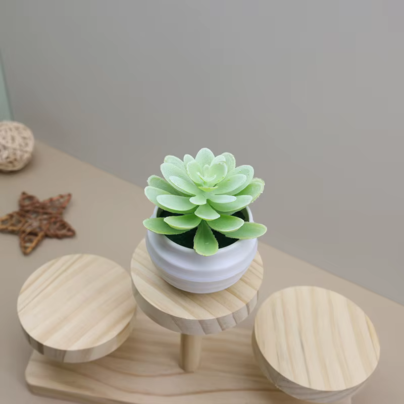 Bassin blanc en plastique de plante verte succulente artificielle