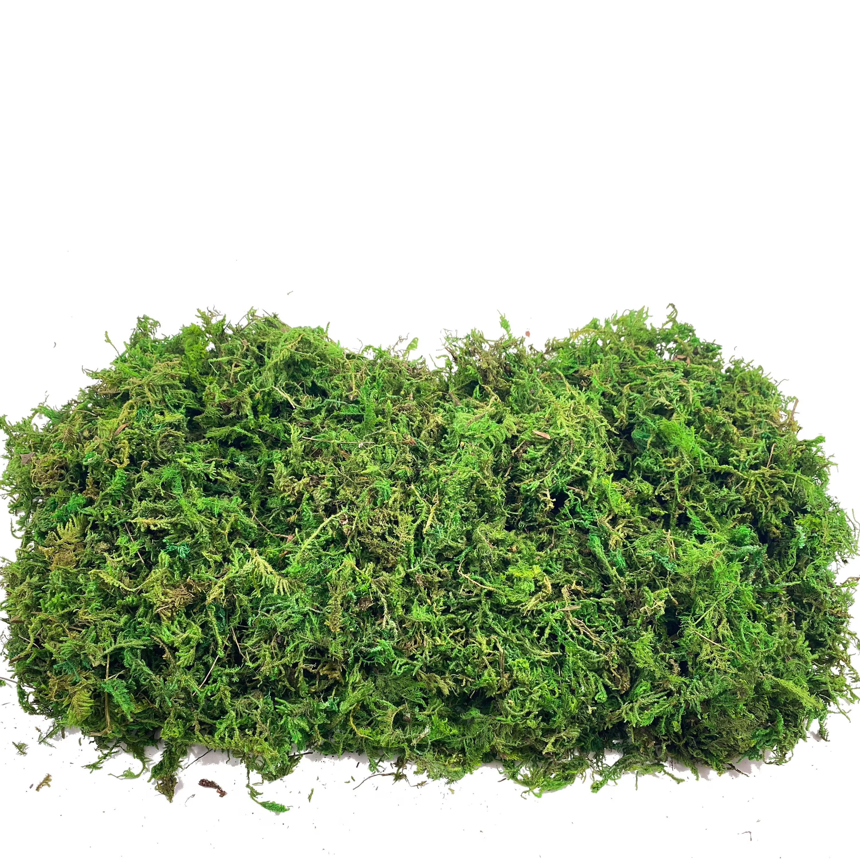 Mousse artificielle pour plantes en pot
