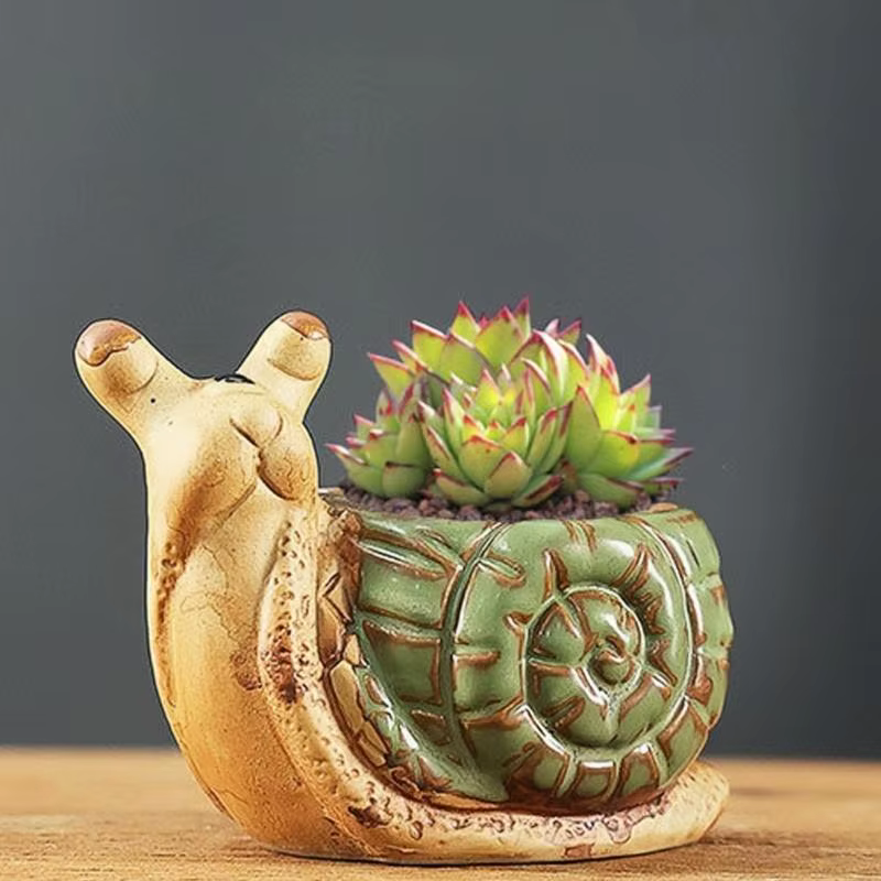 Pot plantes charnues en céramique
