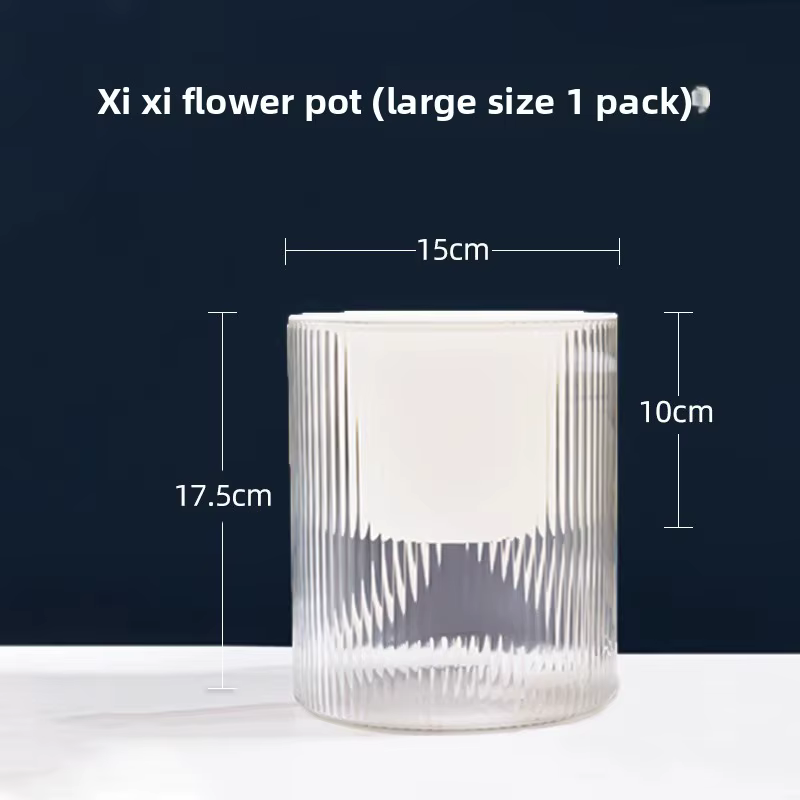 Pot de fleurs transparent en plastique à absorption automatique d'eau pour radis vert