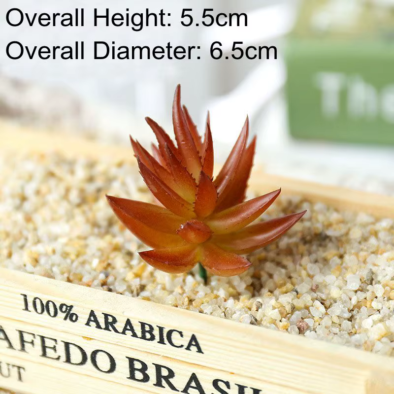 Mini plantes succulentes artificielles | Hauteur = 5.5cm diamètre = 6.5cm