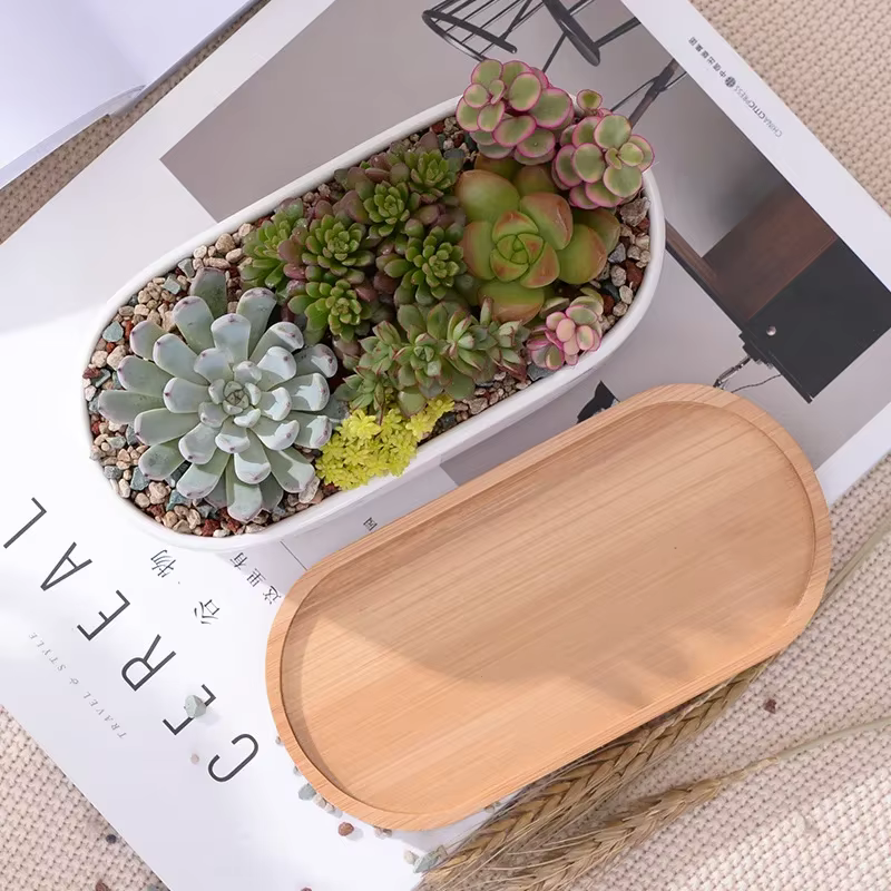 Pot de jardinière succulente blanche en céramique de forme ovale avec plateau en bambou