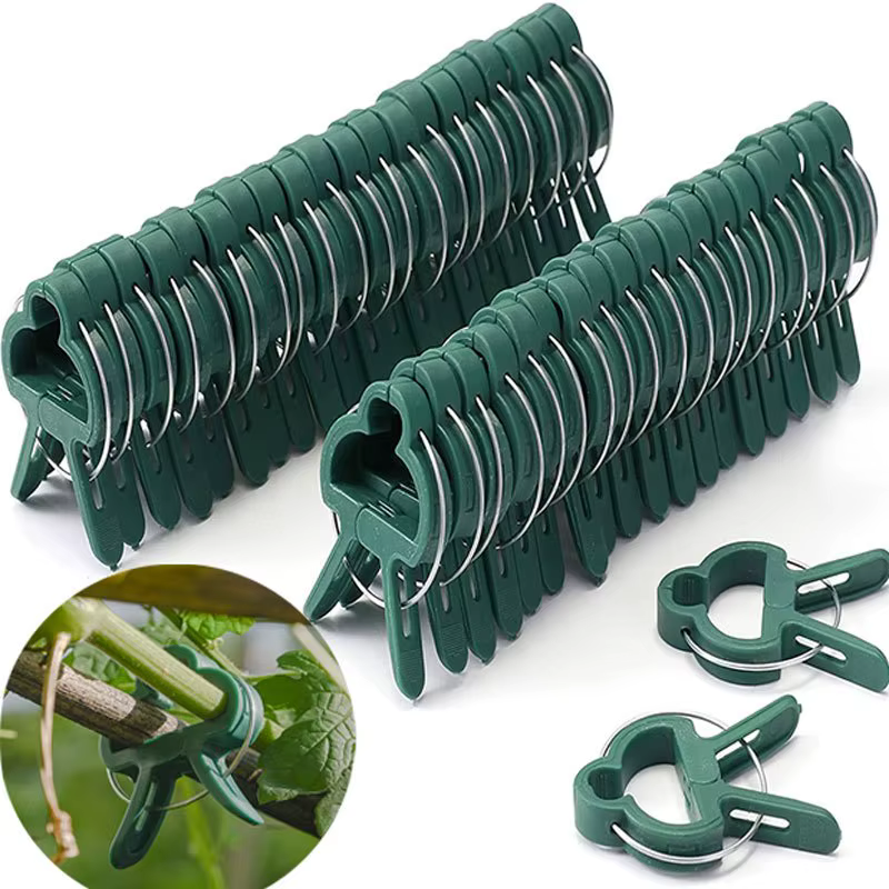 Clips fixes pour plantes