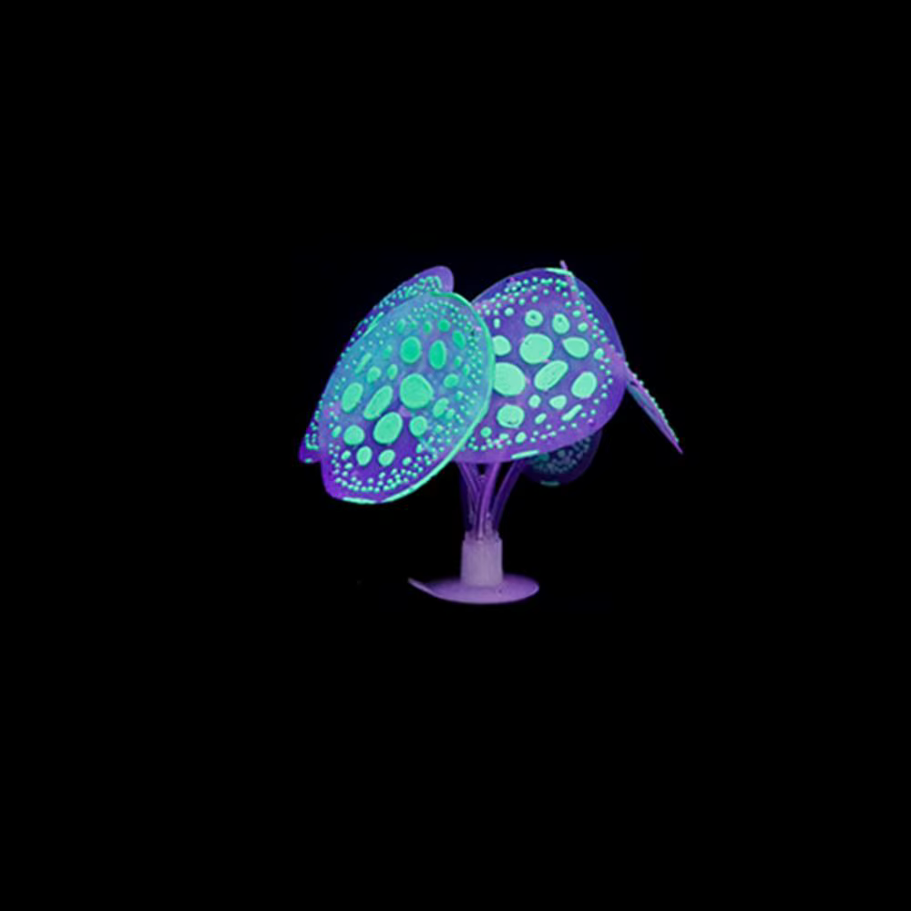 Plantes Shoes artificielles en silicone