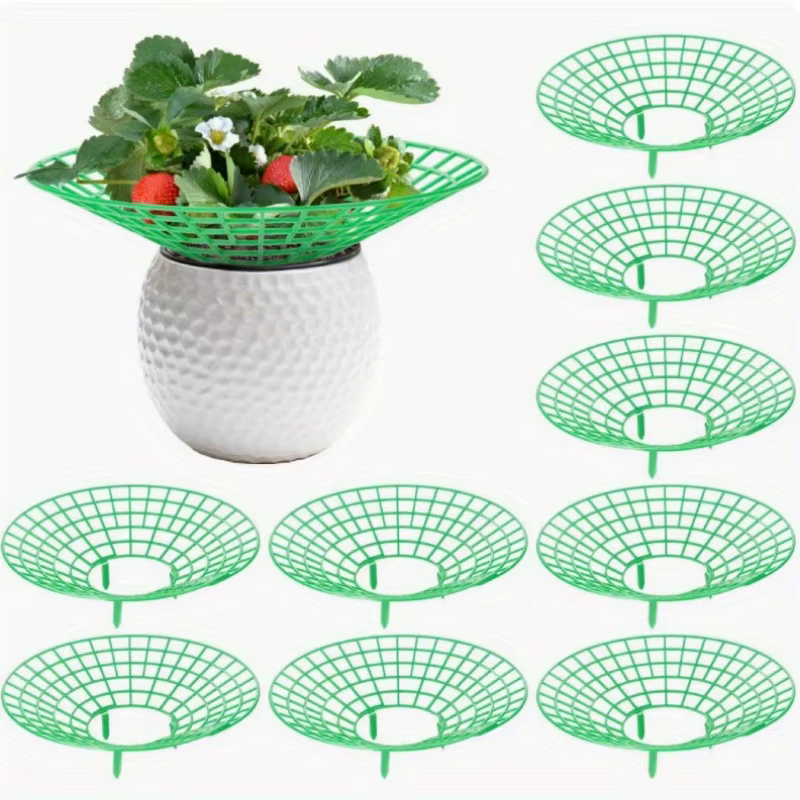 Supports pour plantes de fraises