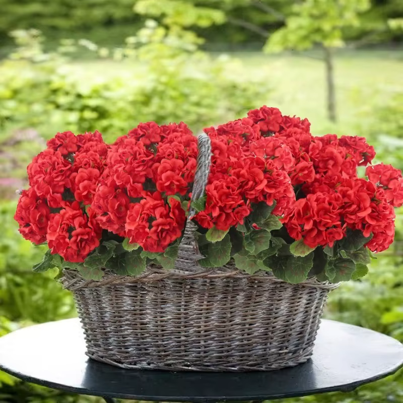 Bouquet de 14 pouces de geraniums artificiels en soie