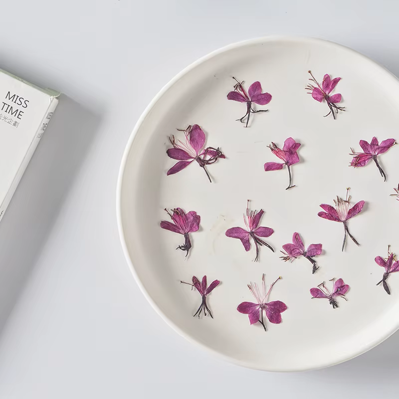 Lot de 12 fleurs de Gaura séchées pour DIY