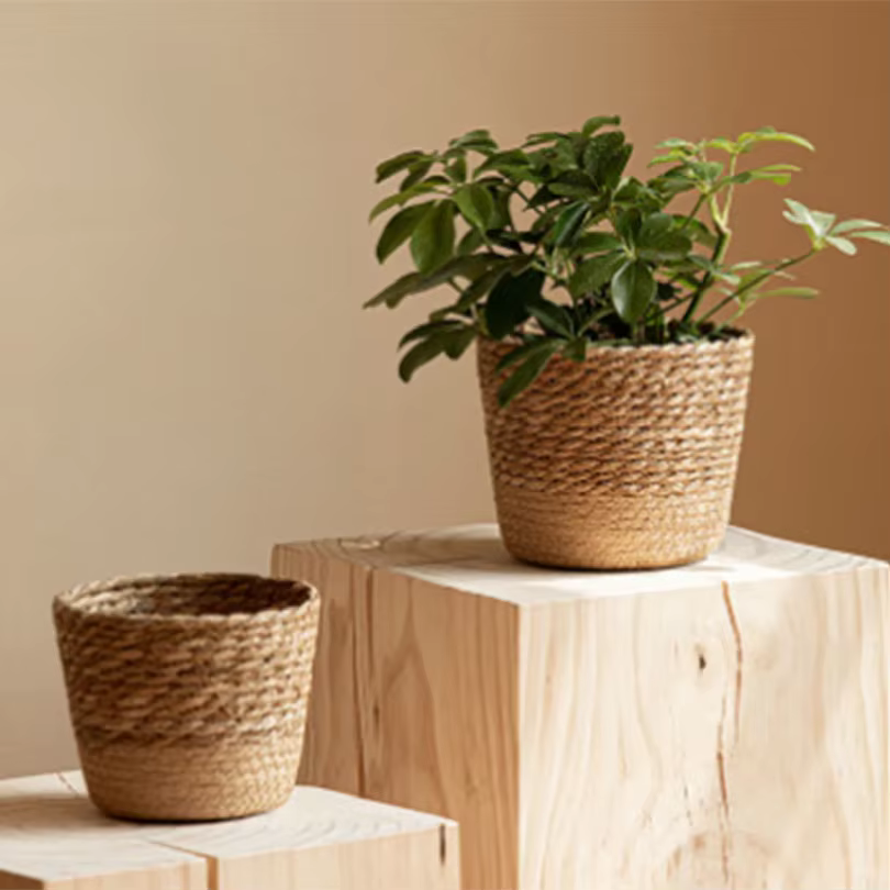Panier de rangement en rotin tressé à la main pour plantes et fleurs