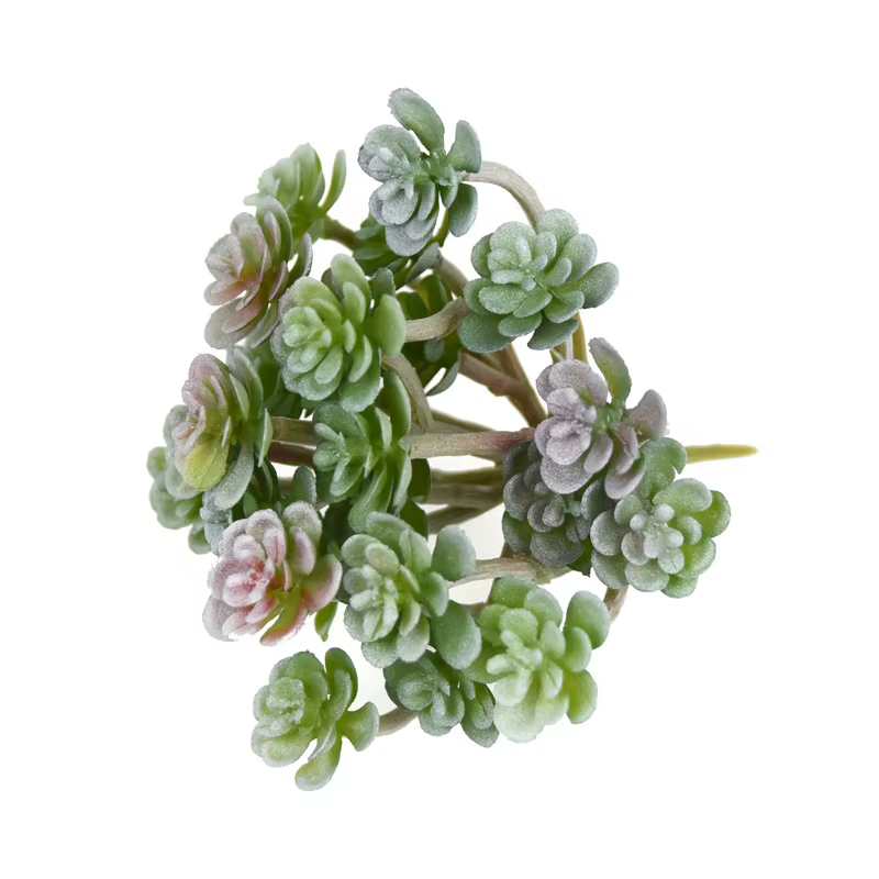 12 pièces de plantes succulentes artificielles en plastique
