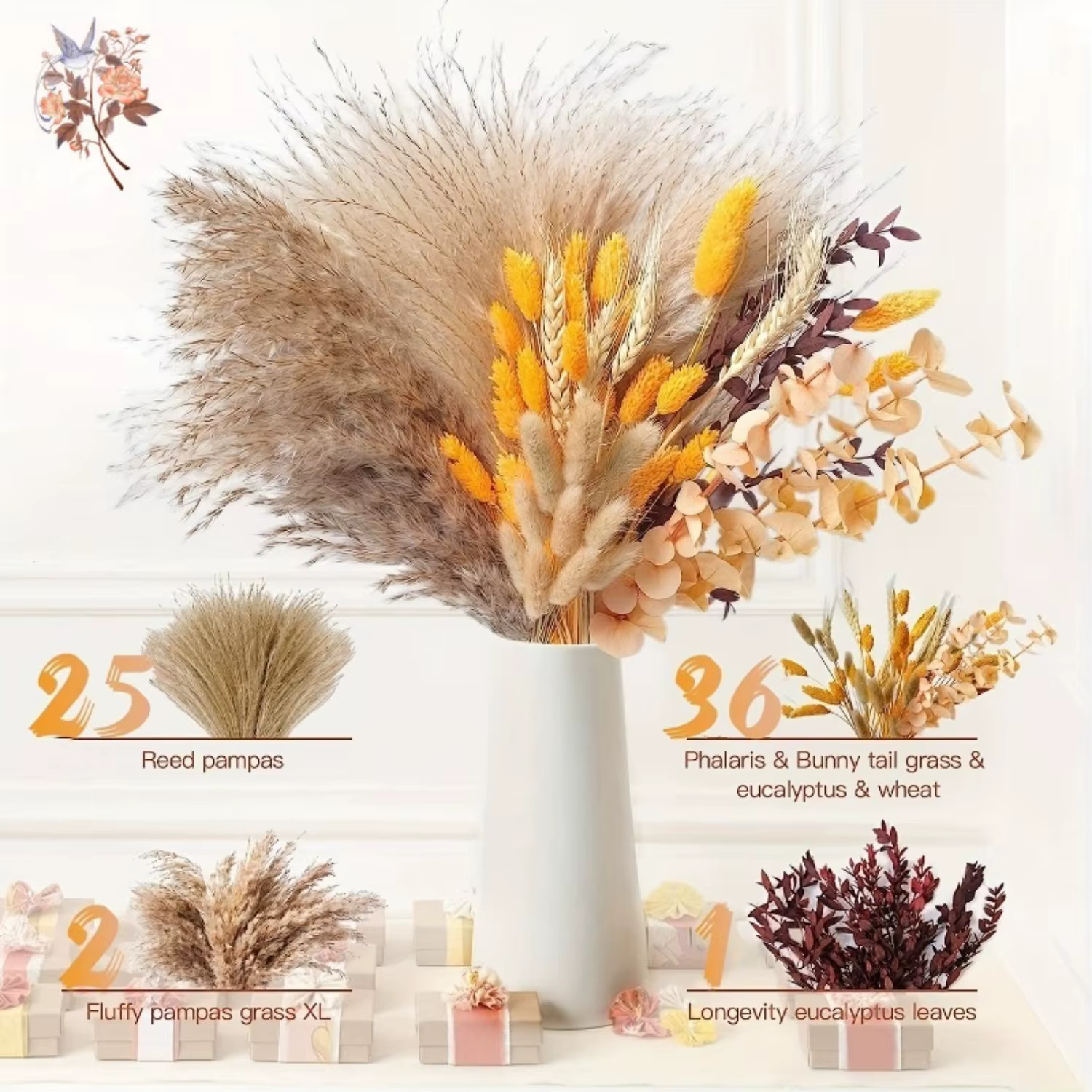 Bouquets de fleurs d'herbe de Pampa moelleuses naturelles