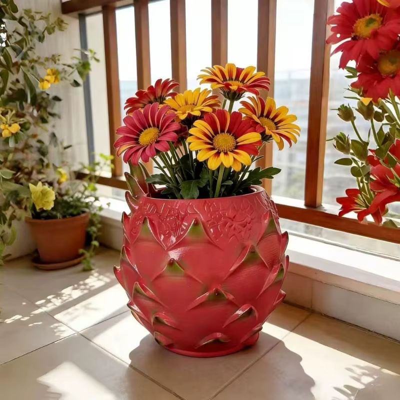 Pots plantes succulentes