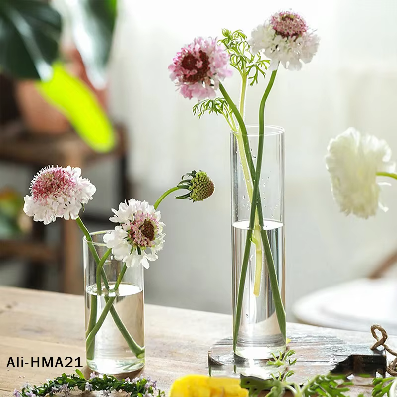 【H】Vase en verre pour plantes hydroponiques
