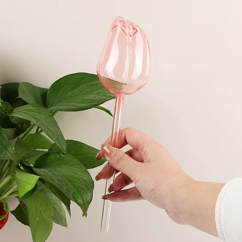 Boules d'arrosage pour plantes tulipes roses de jardin