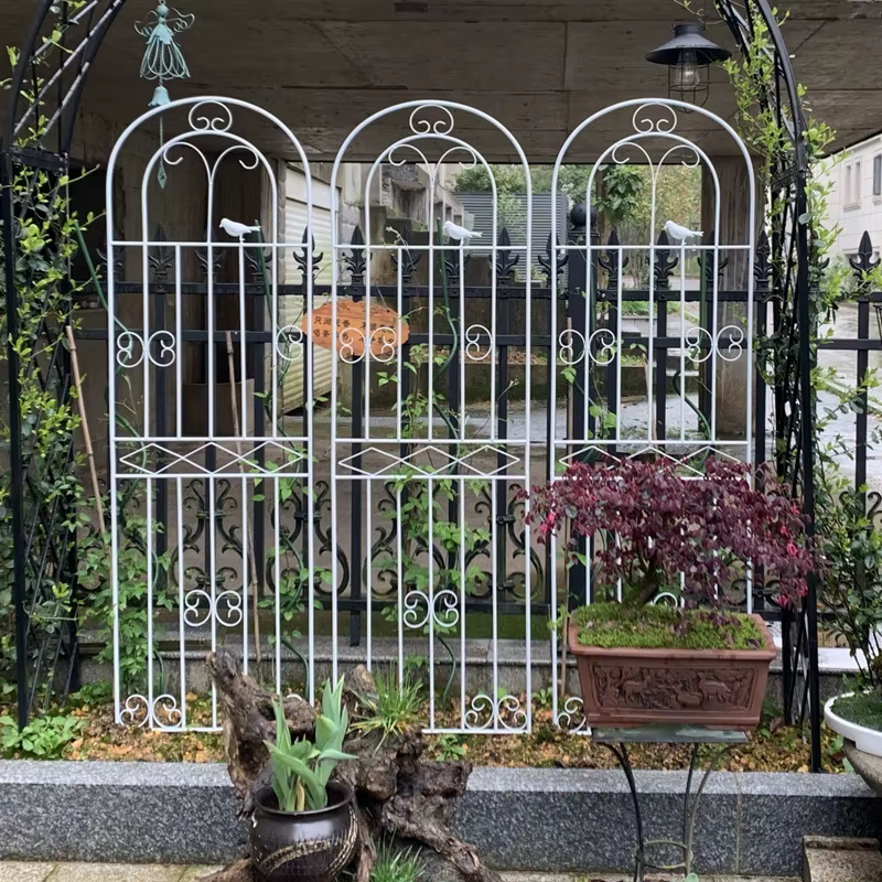 Clôtures de jardin d'extérieur en fer pour plantes grimpantes et fleurs