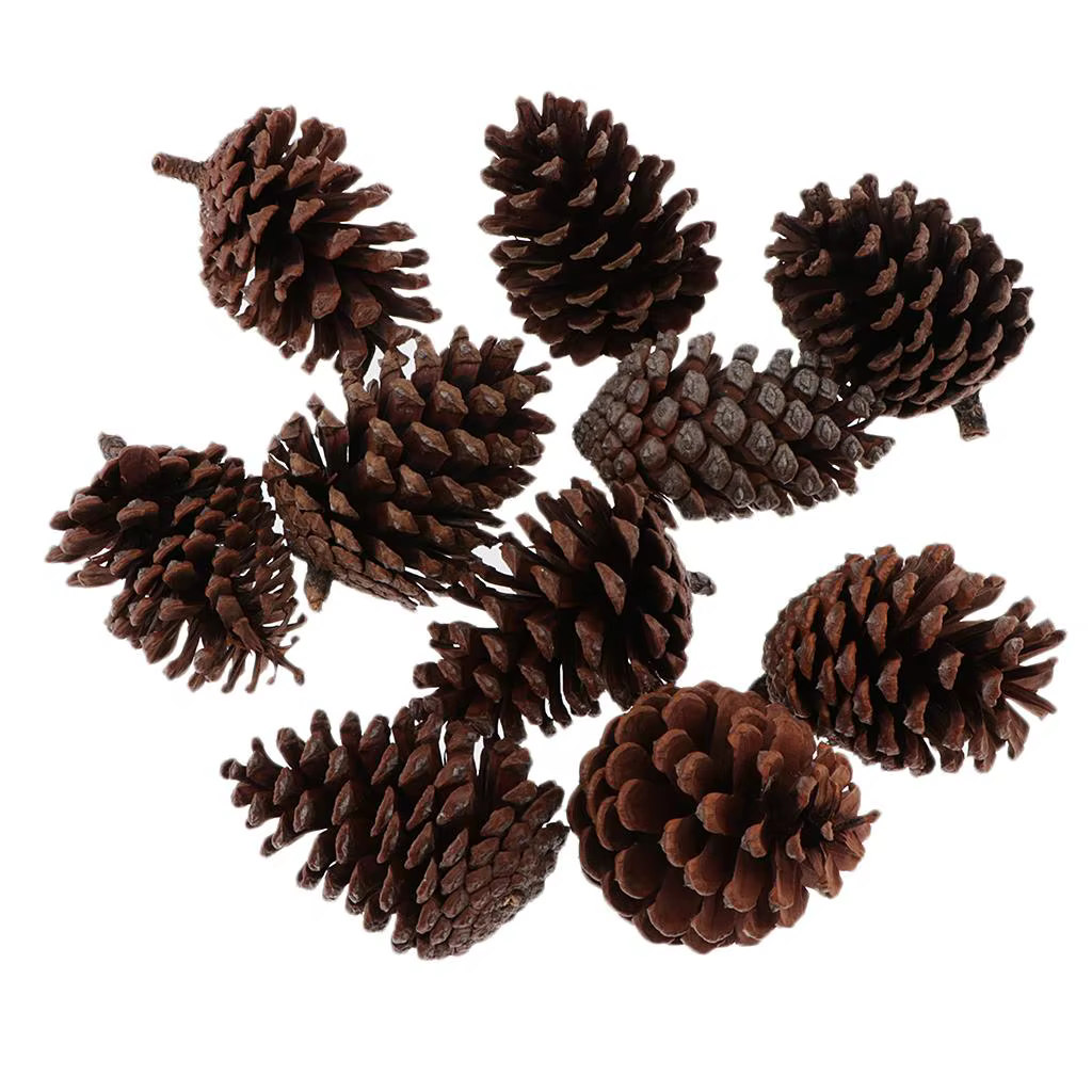 Pack de 10 pommes de pin rustiques en vrac - Ornements