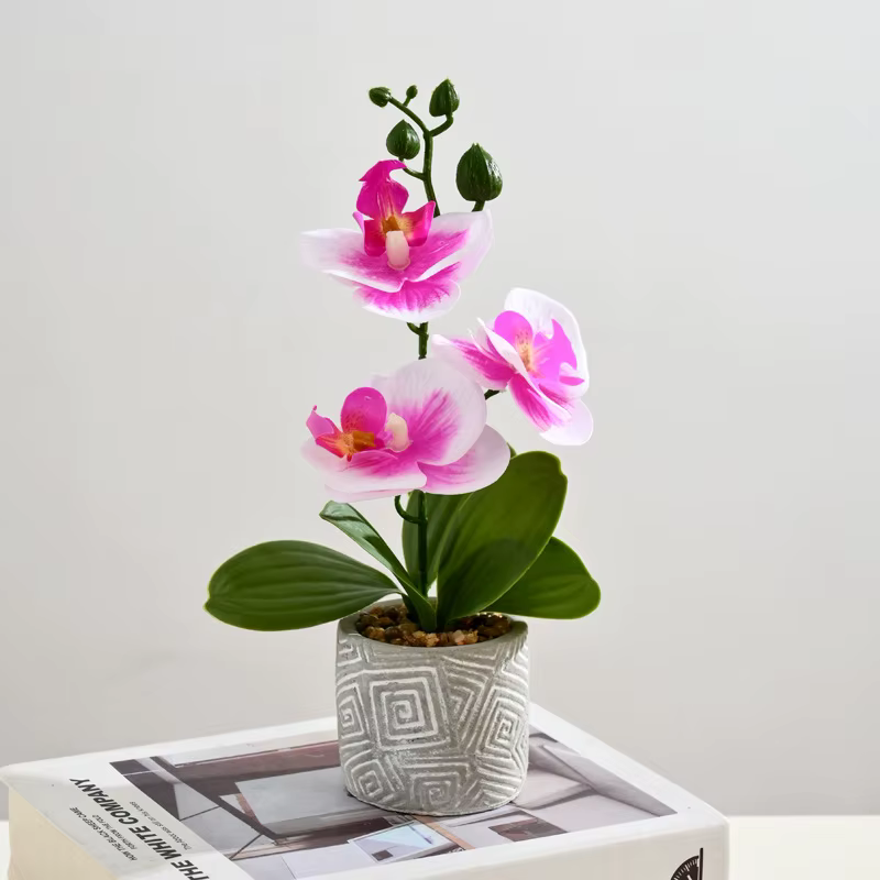 Créatif 3 fleurs et 3 feuilles Phalaenopsis bonsaï Simulation fleur