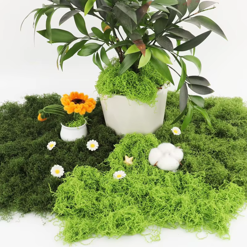 Plantes vertes artificielles