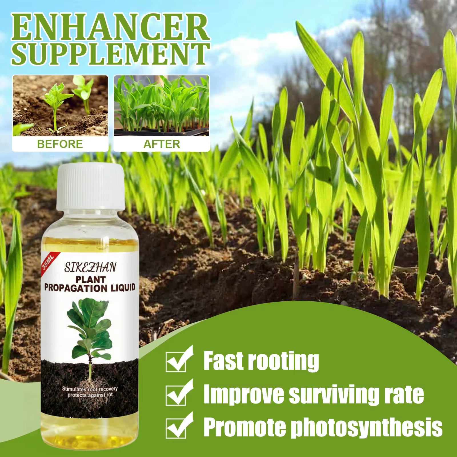 Hormone liquide d'enracinement rapide pour la propagation des plantes