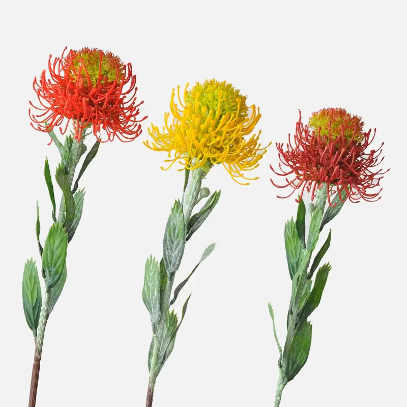 Fleur artificielle sud-africaine pour décoration de mariage