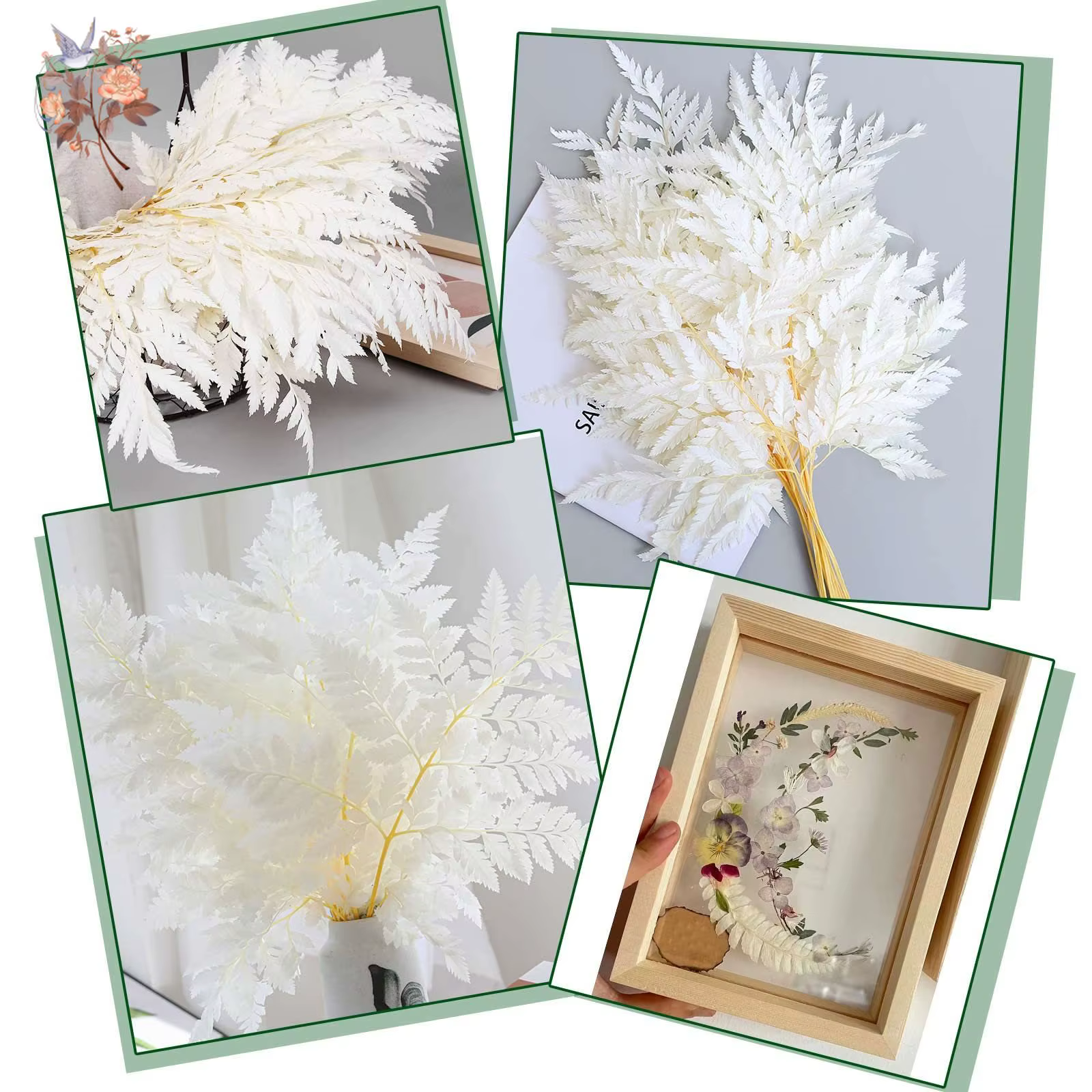 Feuilles de fougère naturelles