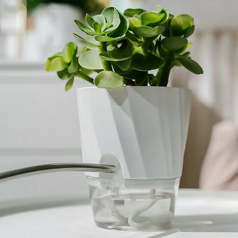 Pots de fleurs hydroponiques auto-arrosants pour plantes