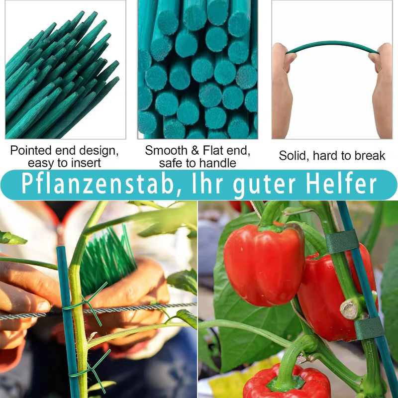 Bâtons de Support pour plantes