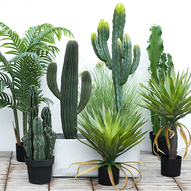 Plante tropicale succulente artificielle avec pot