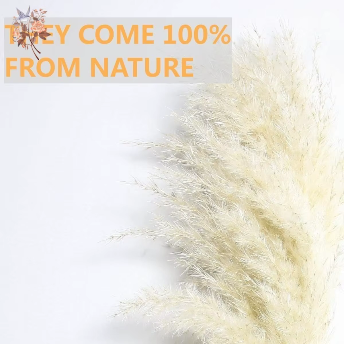 Bouquet de Fleurs de Pampas Sèches Naturelles pour Décoration de Noël