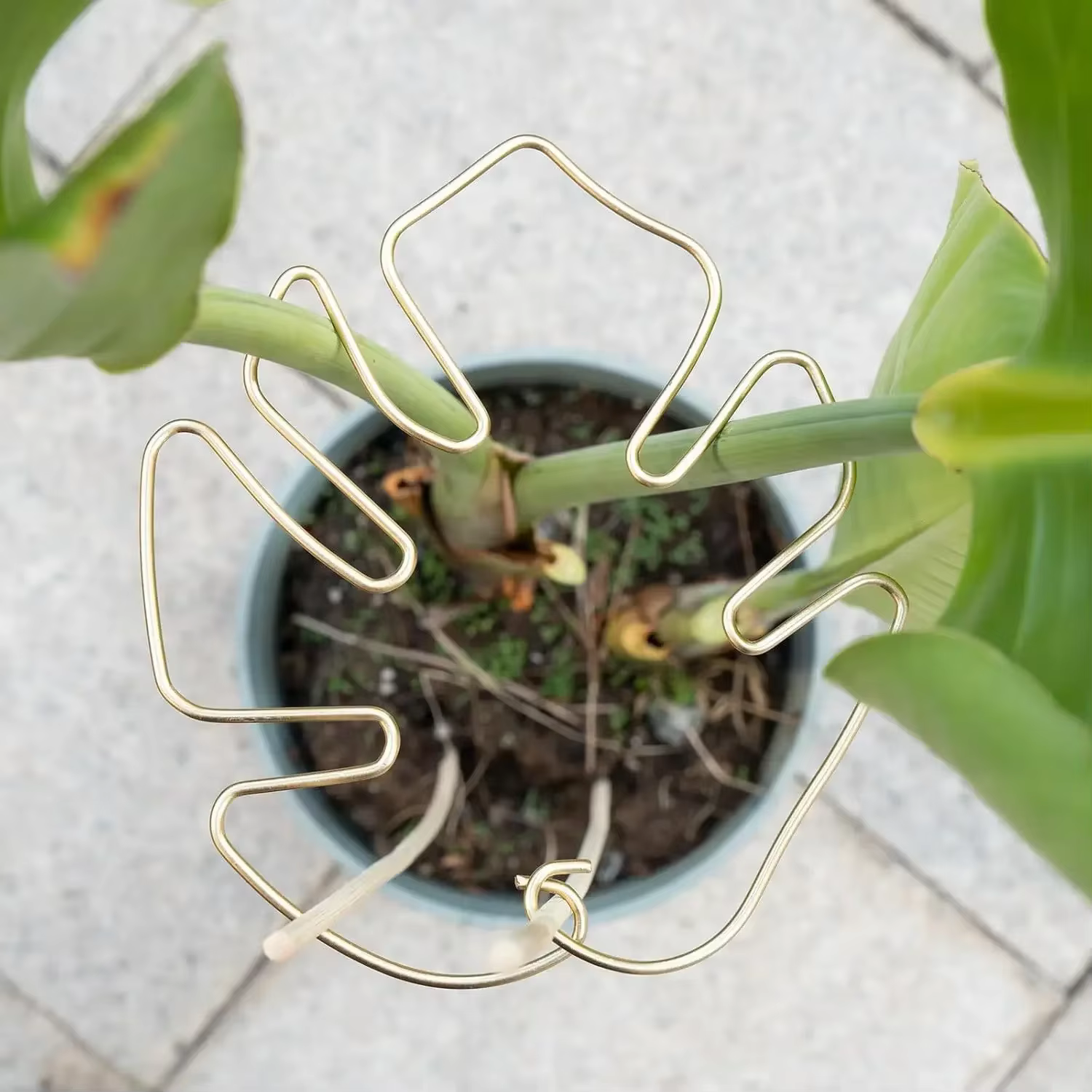 Poteau de support de plante en forme de Monstera