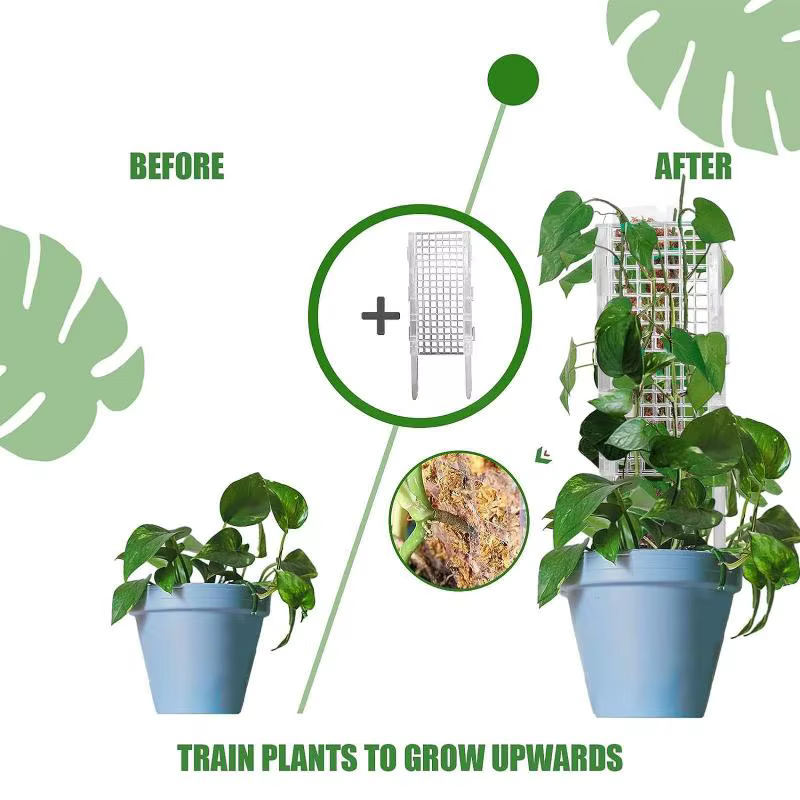Support en plastique pour plantes vertes