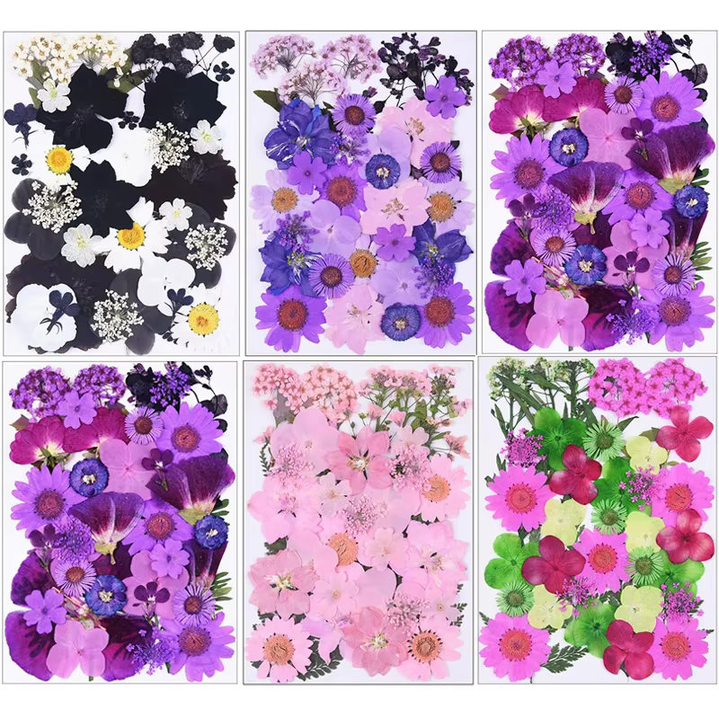 1 paquet de 34 à 40 fleurs séchées