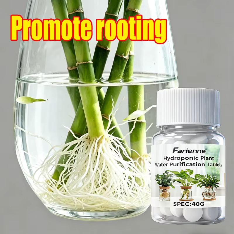 Farienne 100 comprimés de purification d'eau pour plantes hydroponiques 40G - Activateur de racines pour bambou porte-bonheur et préservateur de fraîcheur pour fleurs coupées