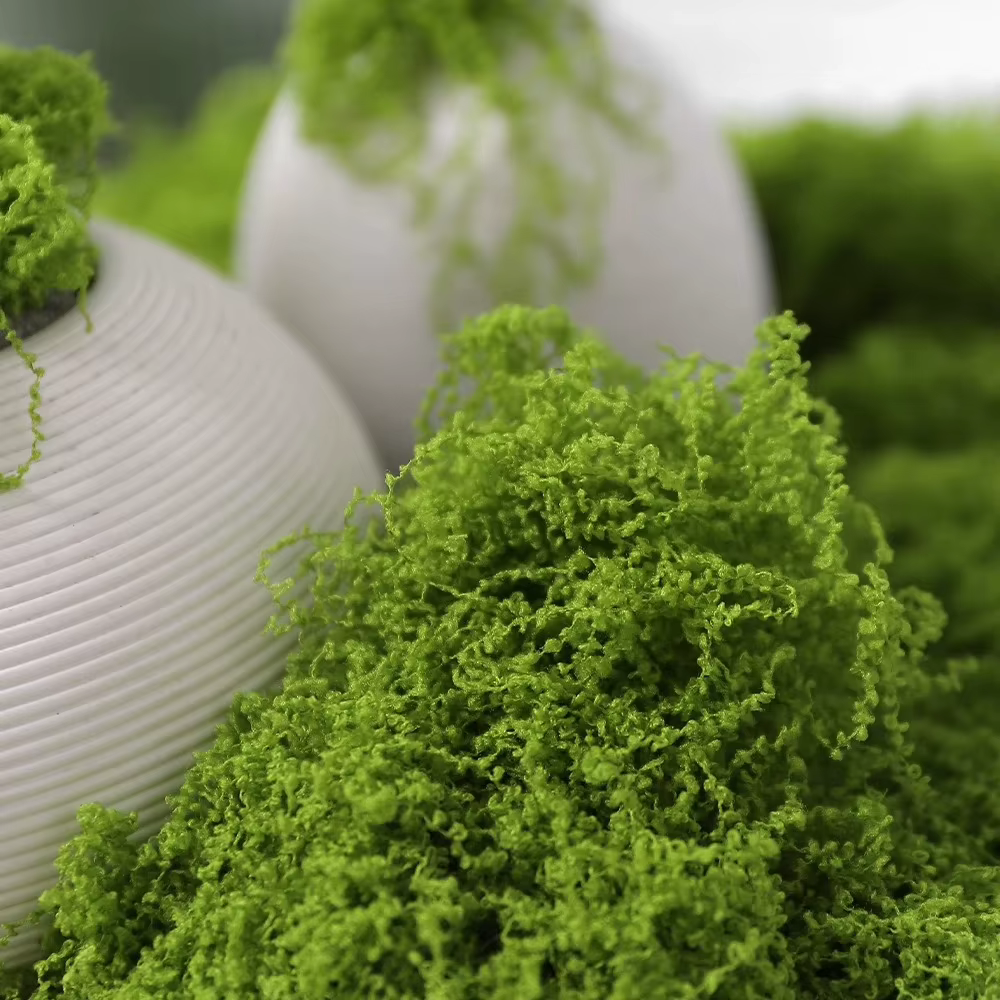 30/50/100g plantes vertes artificielles mousse herbe maison salon jardin décoration Mini paysage fausse fleur bricolage artisanat