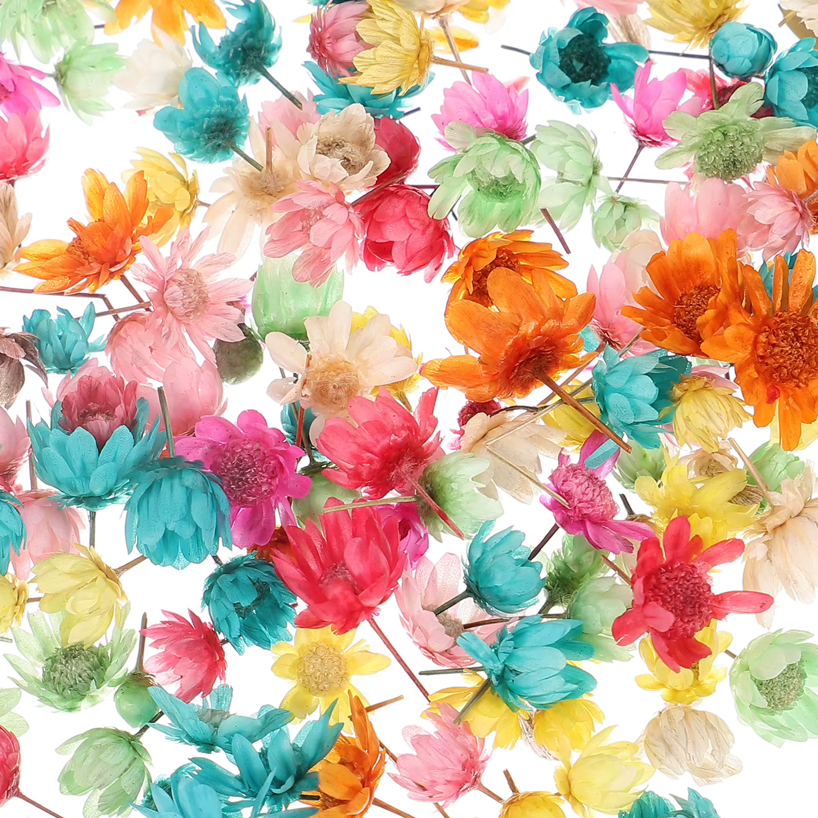 1 sac de fleurs séchées pour bricolage