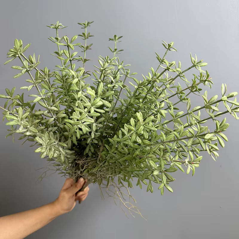 Lot de 6 fausses plantes vertes en plastique