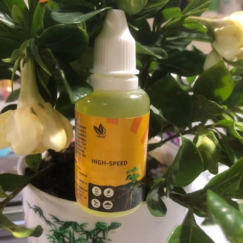 Stimulateur de racines liquide 50 ml