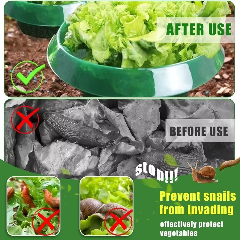 Anneaux de Protection des limaces pour plantes