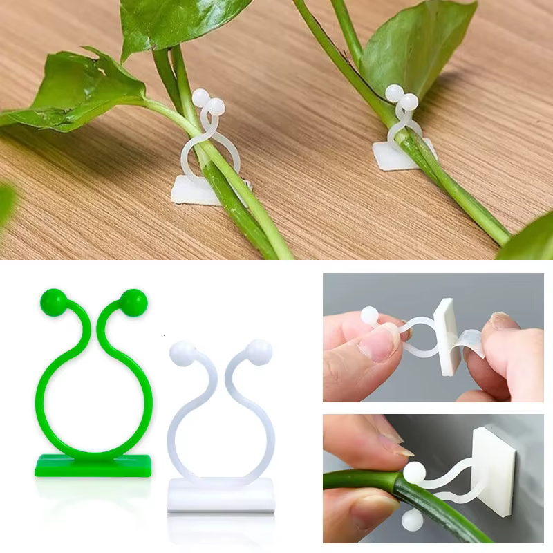 20/40/60 Pièces Crochets universels de fixation murale pour plantes vertes
